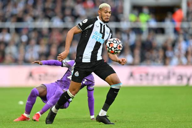 神的家园 神的家园